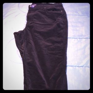 Lane Bryant Venezia velvet plus size pants